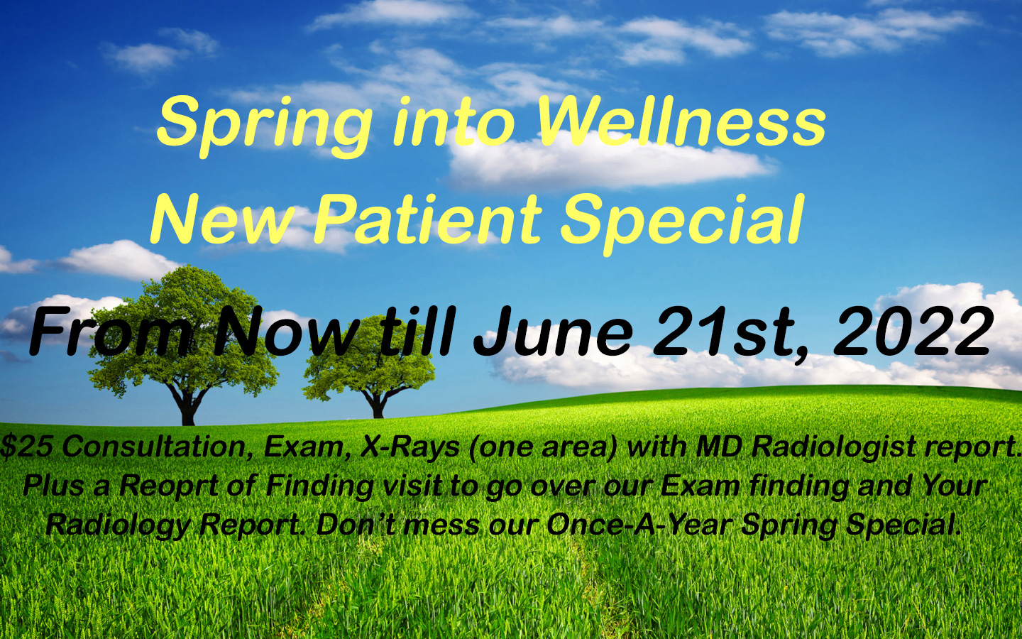 Spring into Wellness - New Patient Special